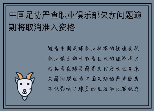 中国足协严查职业俱乐部欠薪问题逾期将取消准入资格